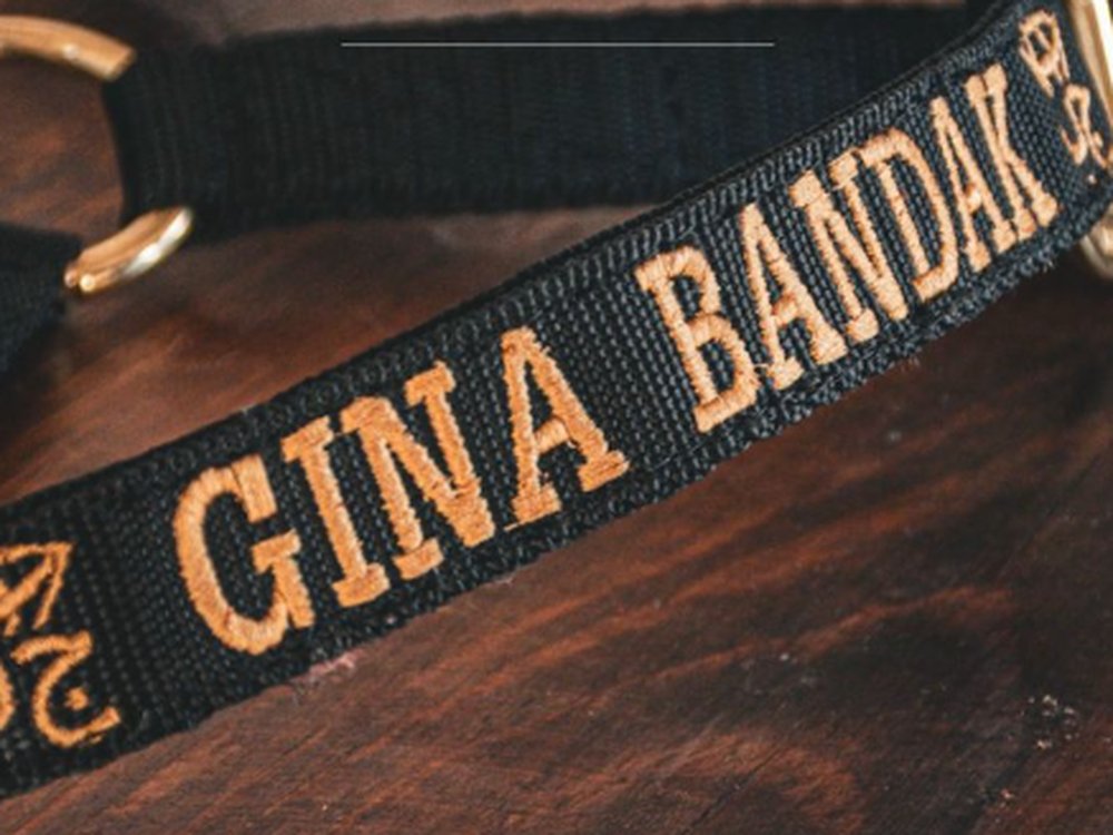 Proyecto Gina Bandak Store — artículos para caballos